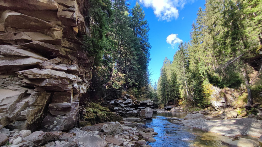 Прутець Чемегівський